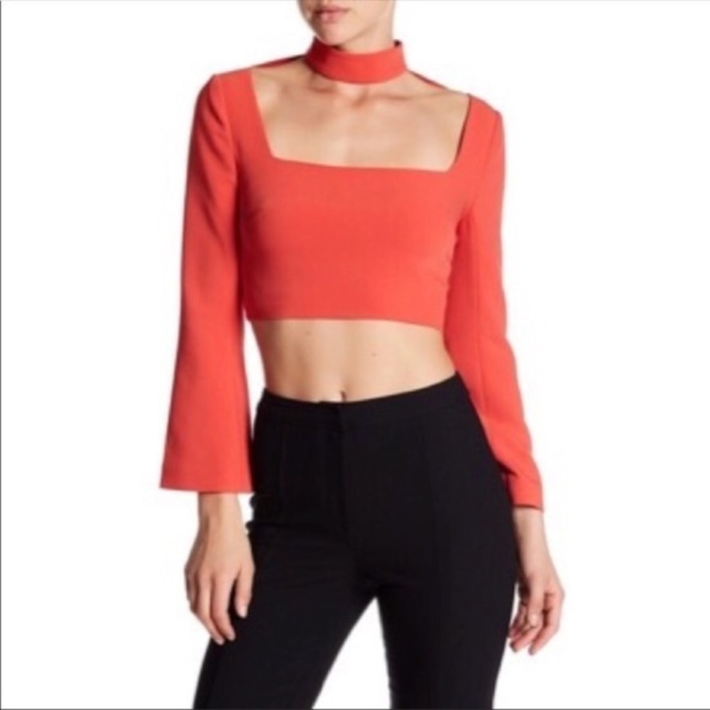 Cinq a Sept Top Amara Aurora Choker Crop